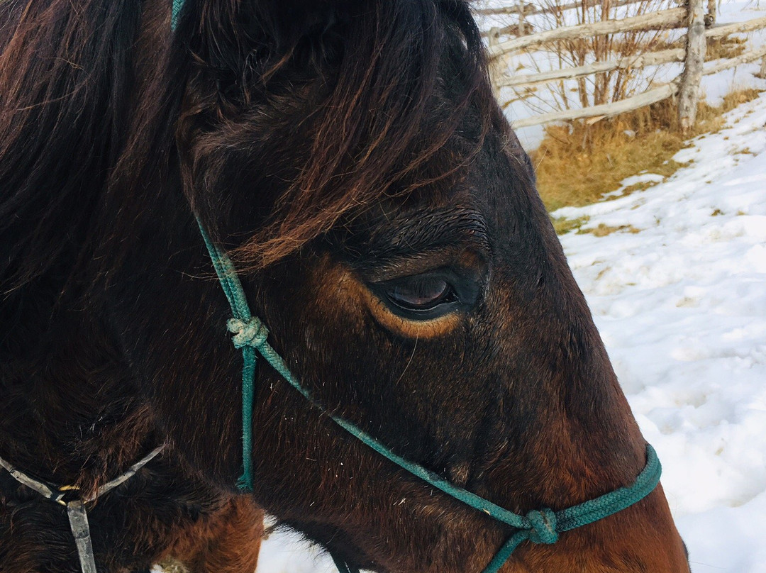 Wind in your Hair Riding-Wanship必去景点