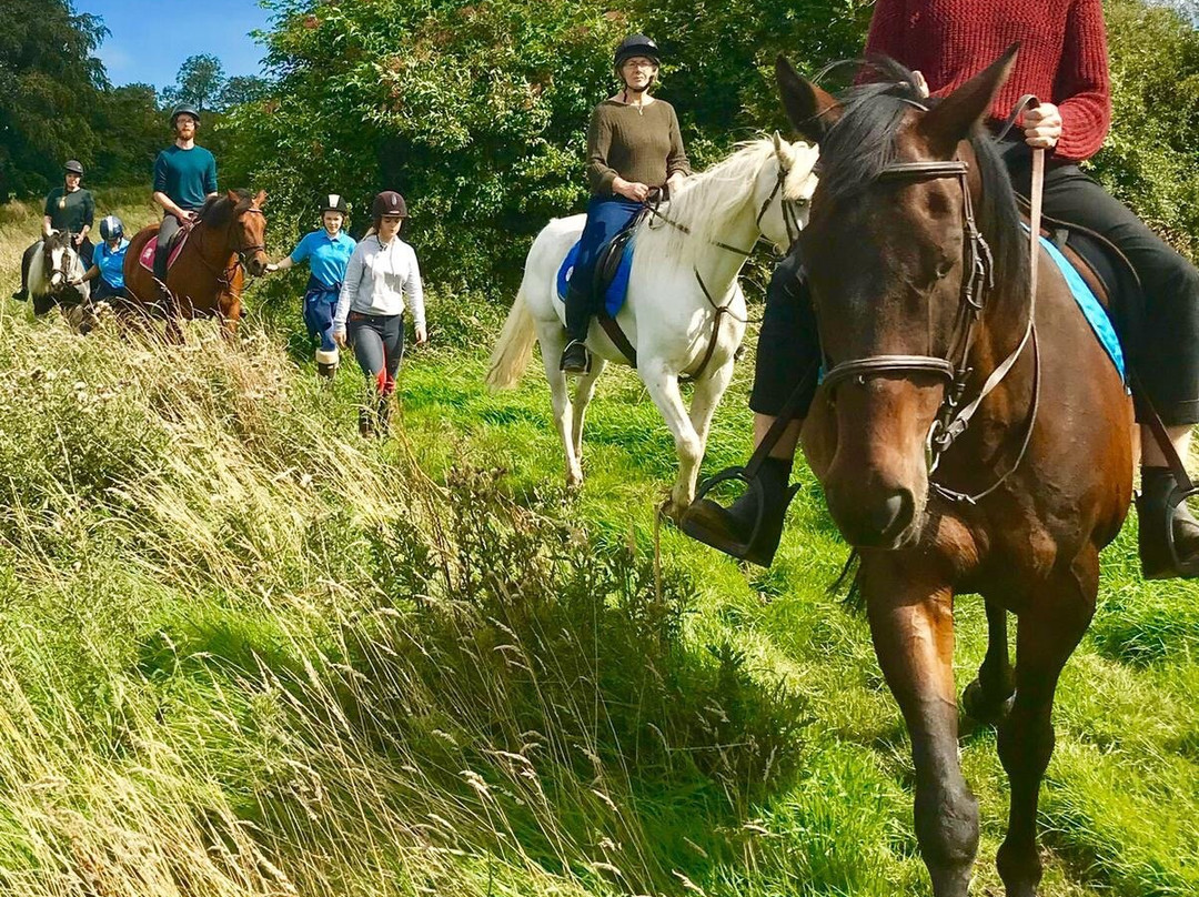 Ballylagan-Ballyclare必去景点