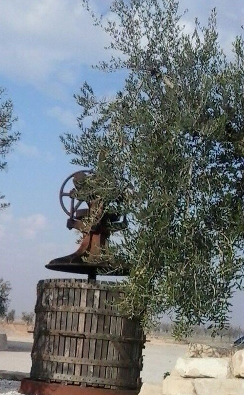 Fortaleza Iberica " Els Vilars "-Arbeca必去景点