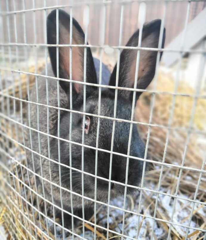 Galereya Guest House主图