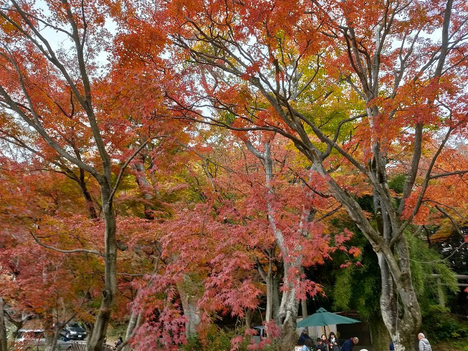 Kenshindaira-栃木市必去景点