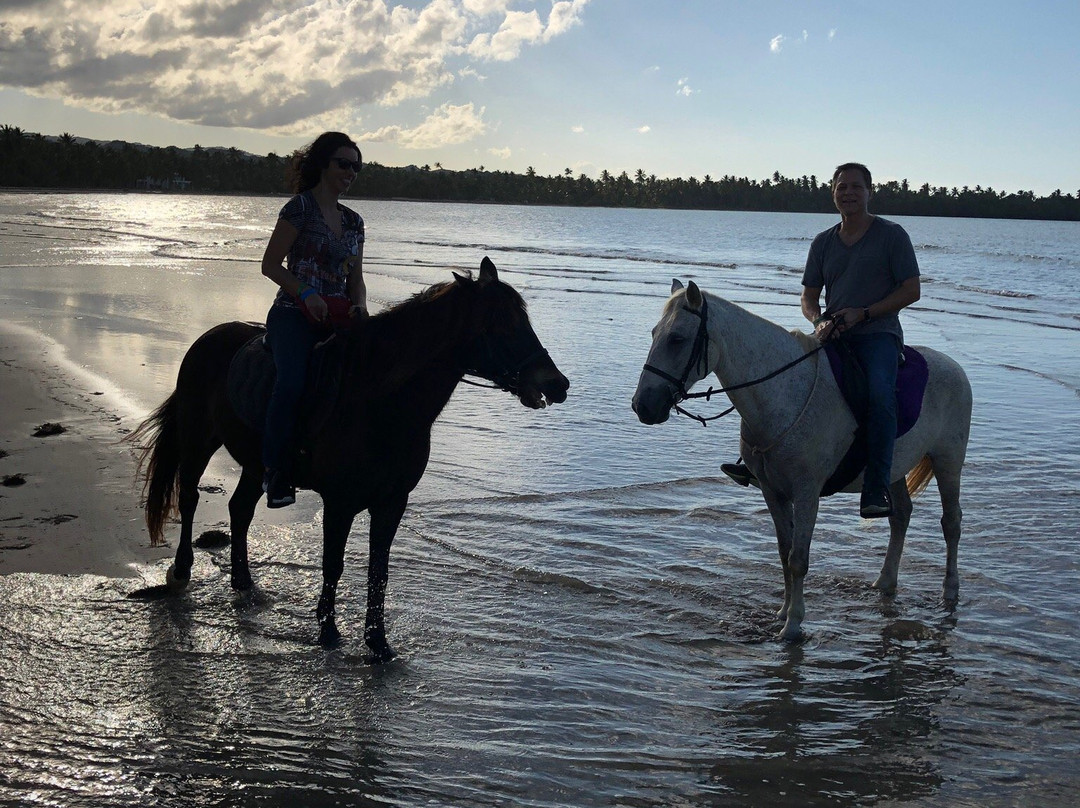 Rancho Playa-拉斯特拉纳斯必去景点