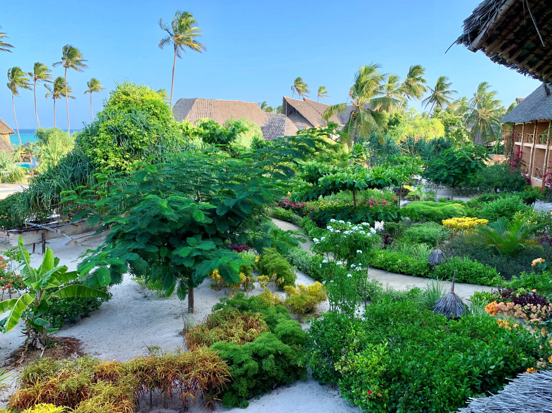 Zanzibar Queen Hotel主图