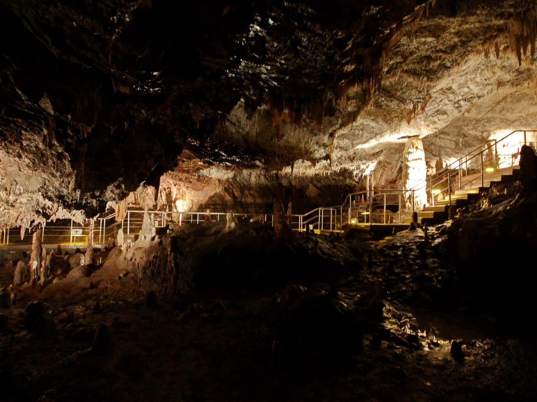 Eudaimonia Private Tours-雅典必去景点