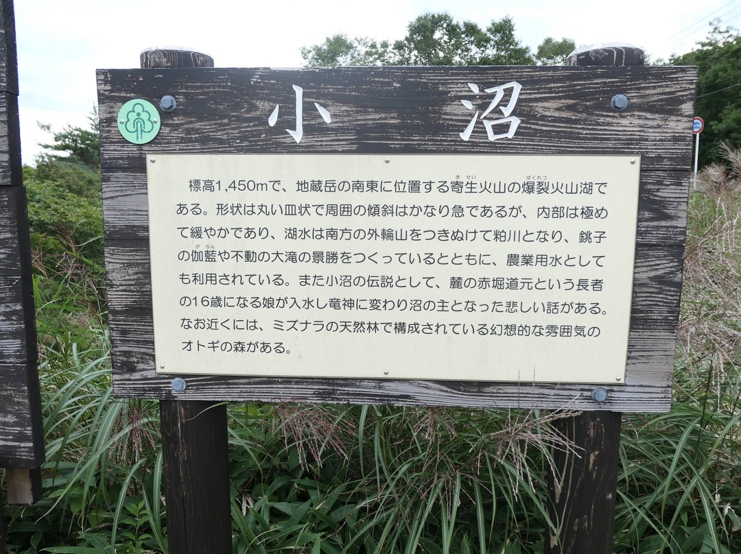 Lake Konuma-前桥县必去景点
