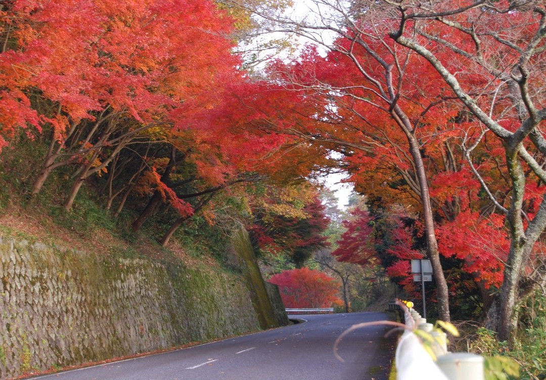 Hieizan Driveway-大津市必去景点