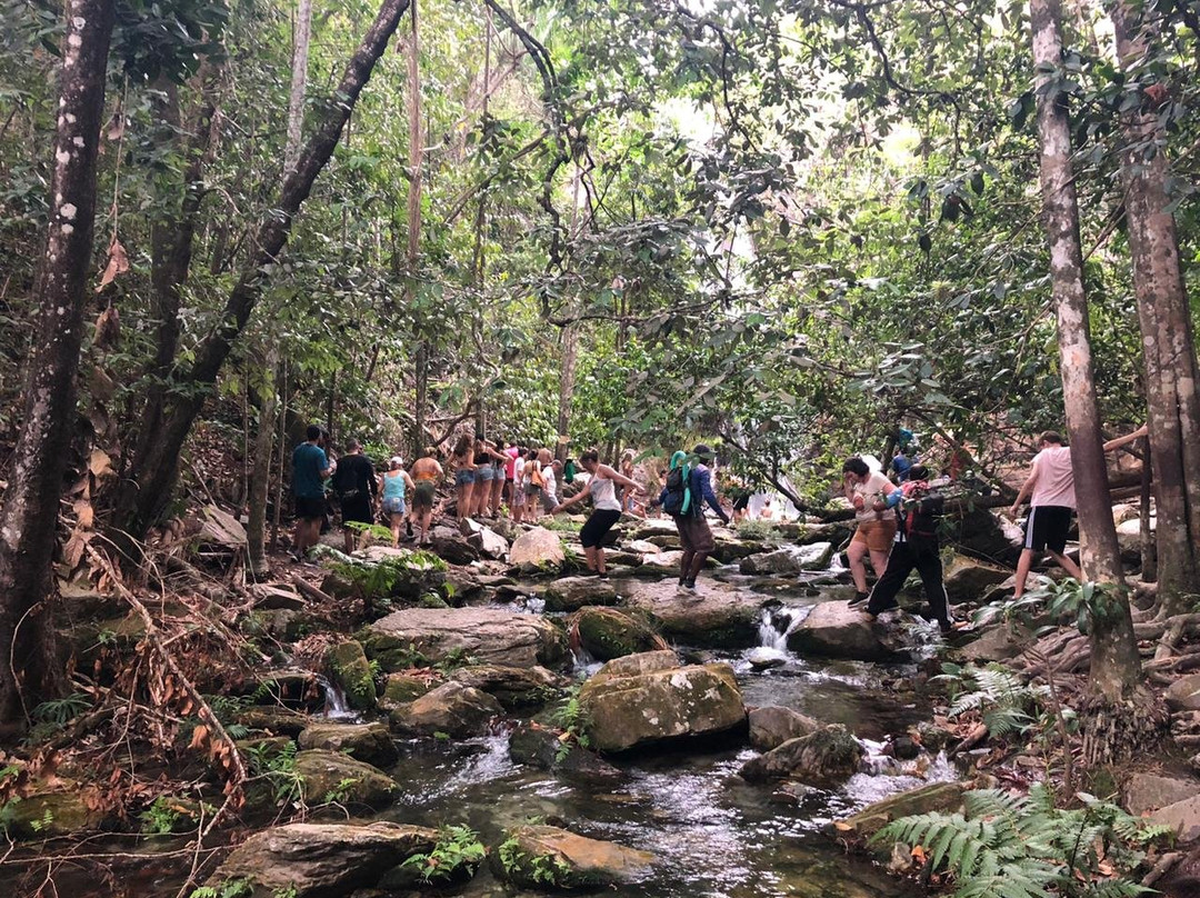 Rppn Vale Das Araras-Cavalcante必去景点