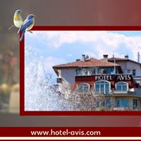 Hotel Avis-官方