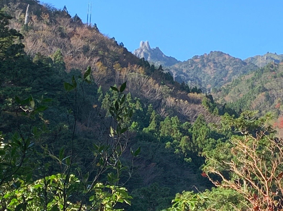 Yakushima Nature景点图片