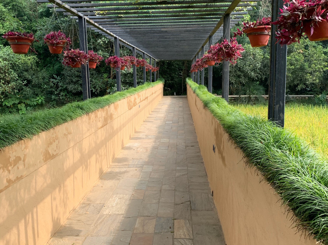 Kasara Chitwan主图