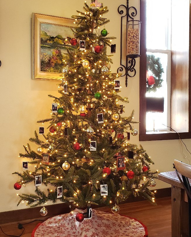 Rocky Point Winery-Marblehead必去景点