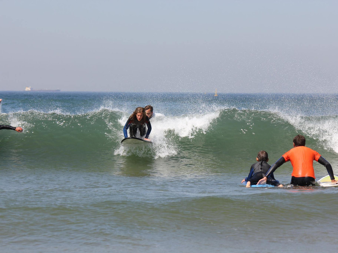 Surf Classes景点图片