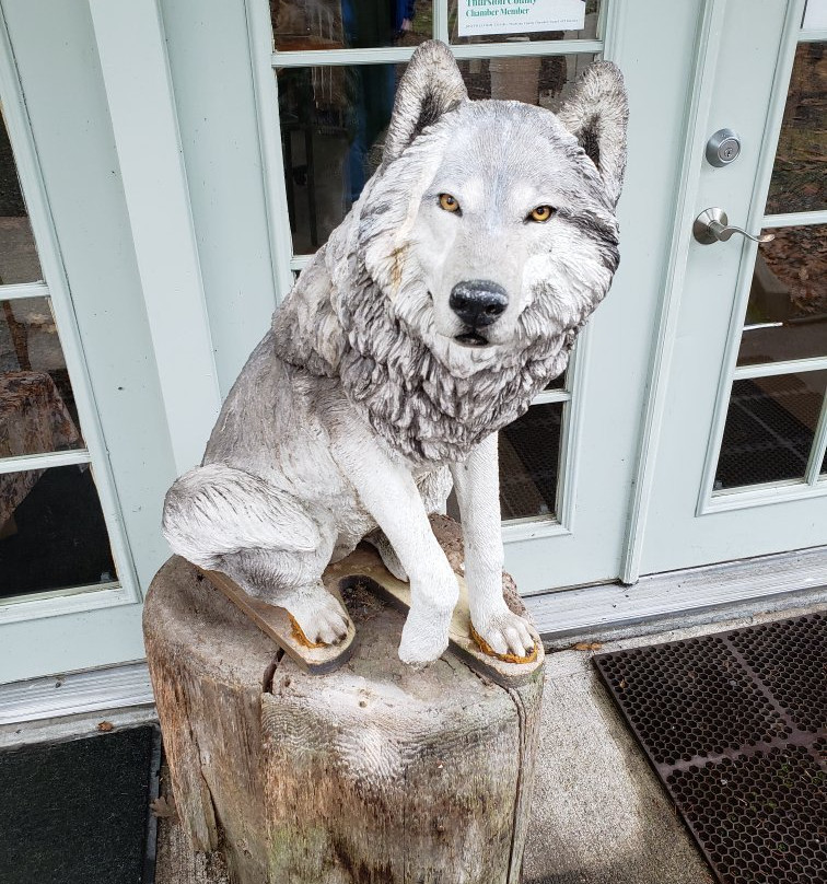 Wolf Haven International-Tenino必去景点