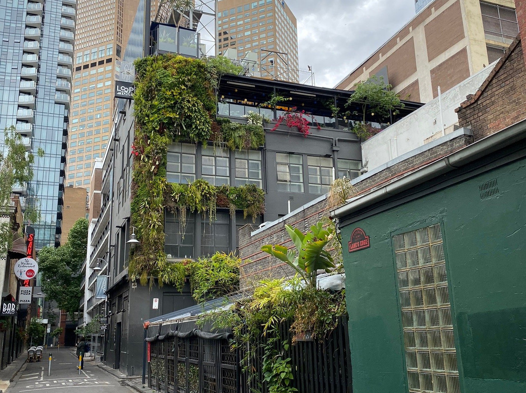 Local Guide To Melbourne-墨尔本必去景点