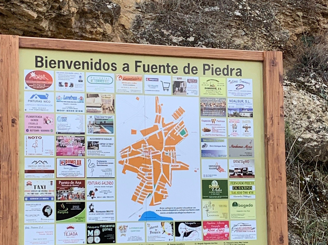 Laguna De Fuente Piedra-安达卢西亚必去景点