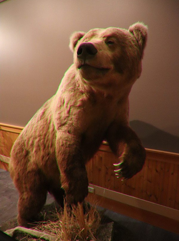 Rocky Mountain Elk Foundation-米苏拉必去景点