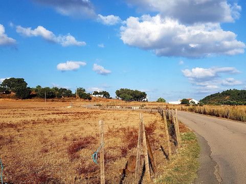 Algarve Food Experience-Algarvia必去景点