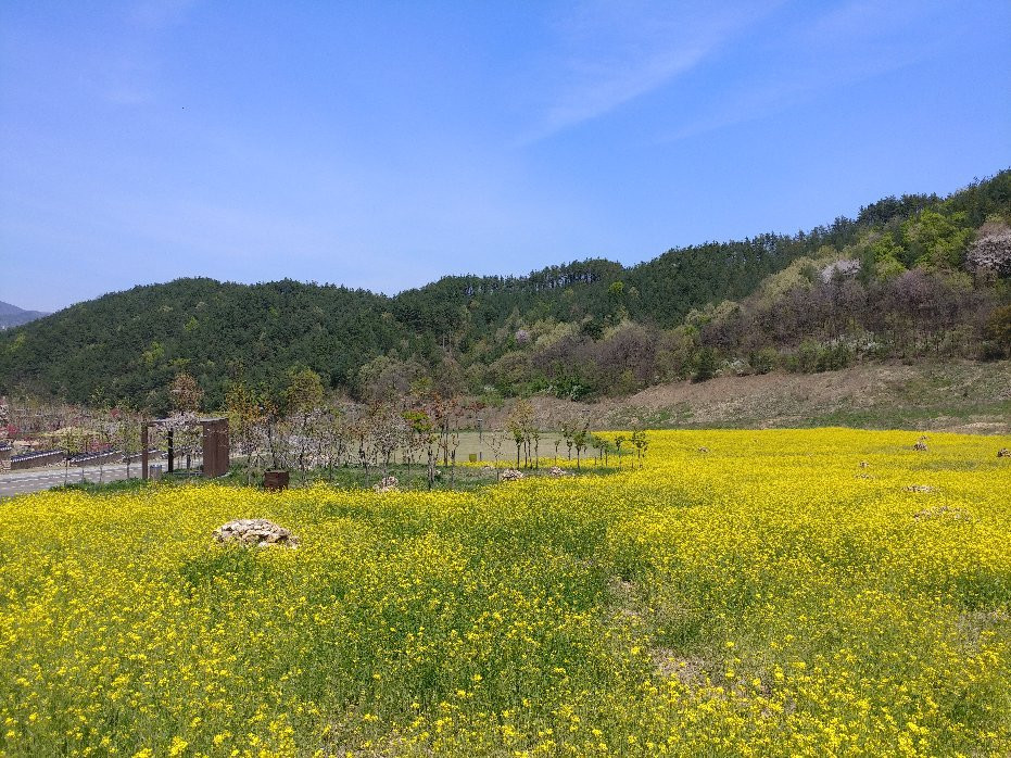 Taekwondowon-茂朱郡必去景点