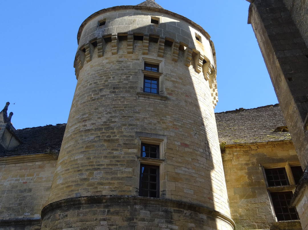 Château de Saint-Geniès景点图片