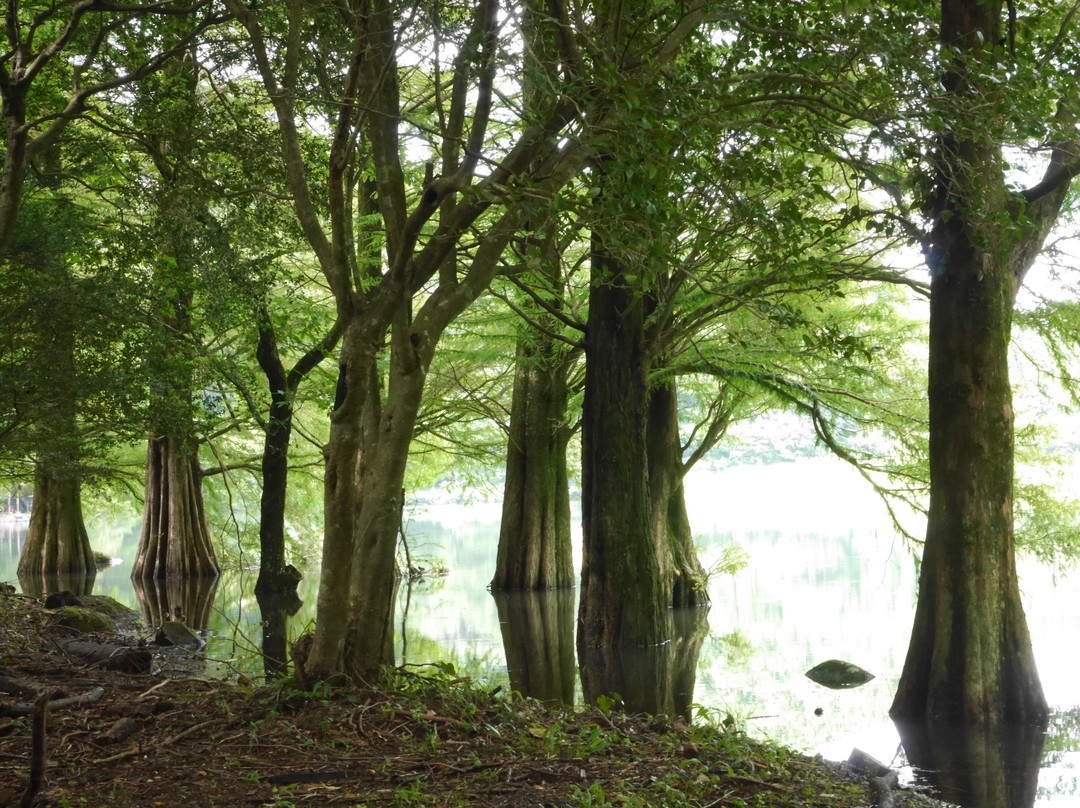 Hirokora Camping Ground-嬉野市必去景点