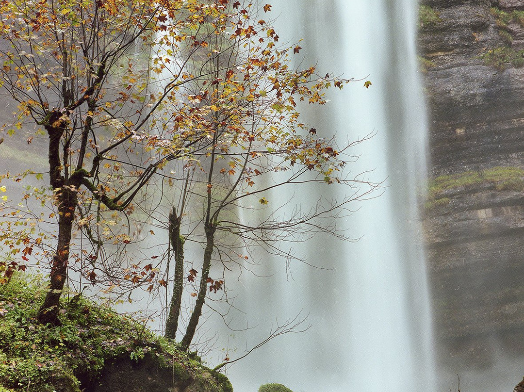 La Ferme du Bois Joli主图