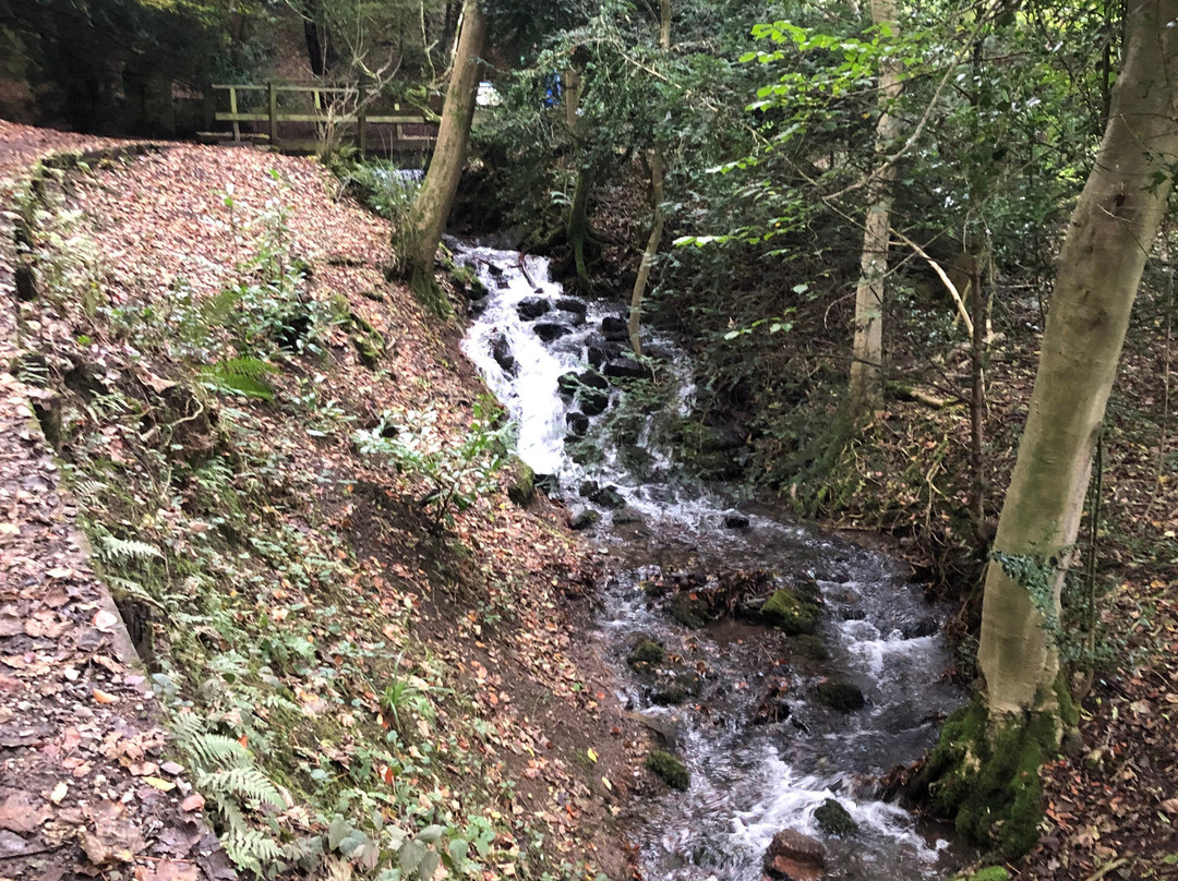 Rectory Wood & Field景点图片