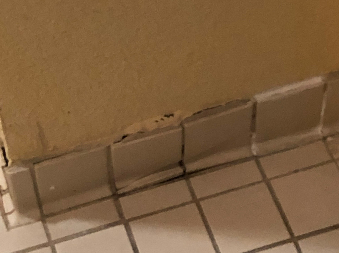 基林原住客栈主图