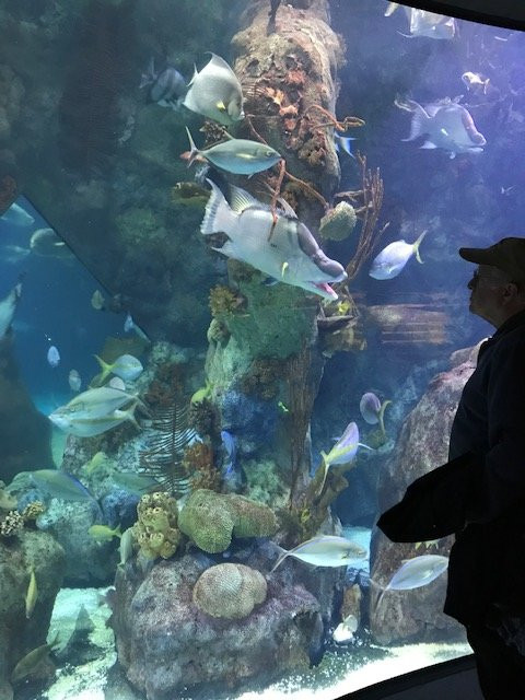 ABQ BioPark Aquarium景点图片