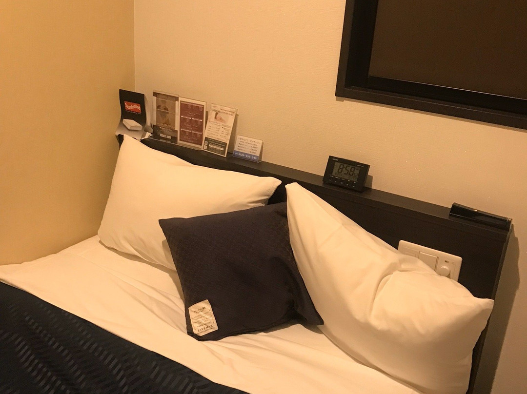 Hotel Livemax Tokyo Ayase Ekimae主图