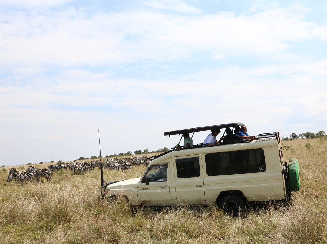 Morningstar Safaris景点图片