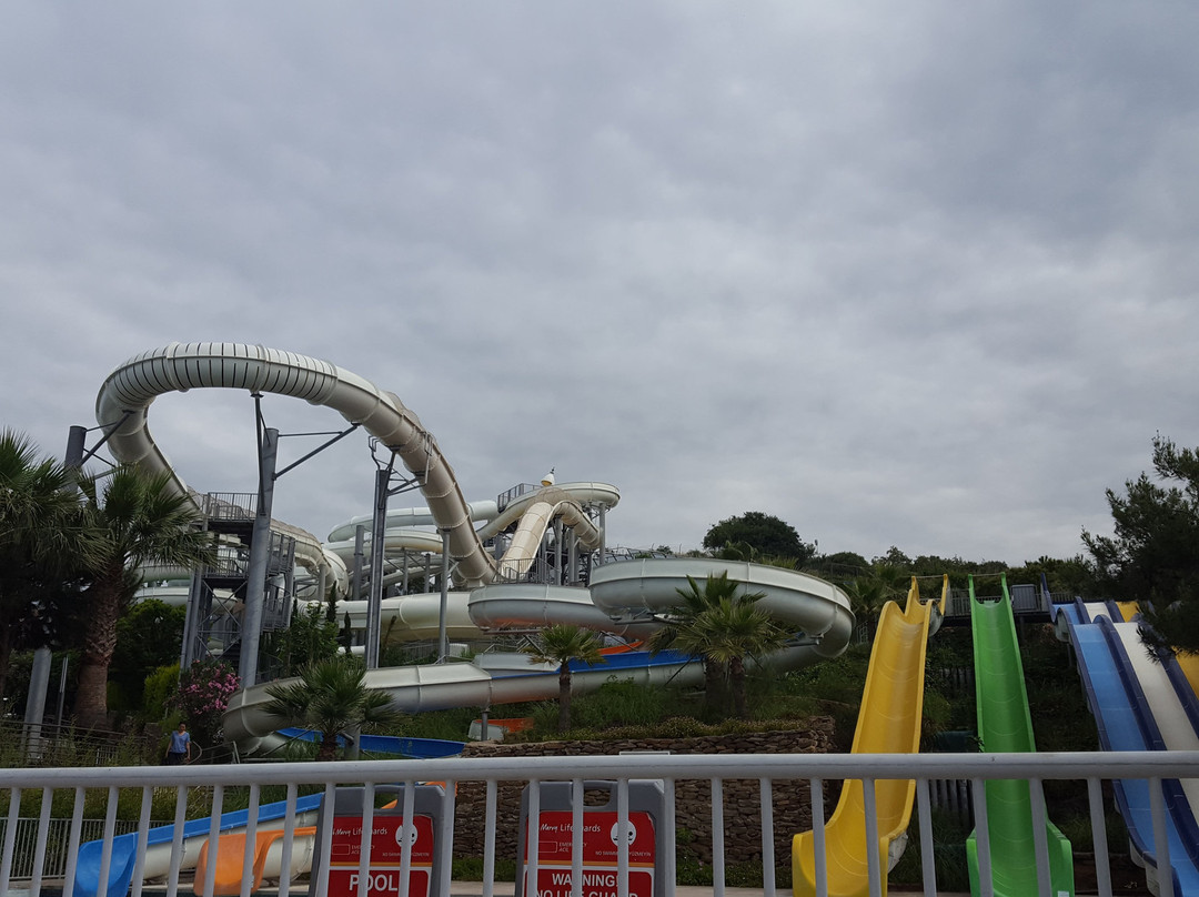 Club Marvy主图