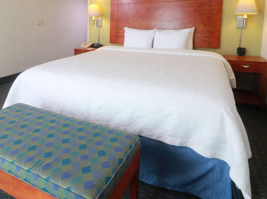 Hampton Inn by Hilton Reynosa/Zona Industrial主图