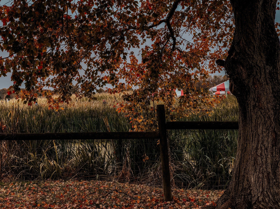 Terhune Orchards & Winery-Lawrence Township必去景点