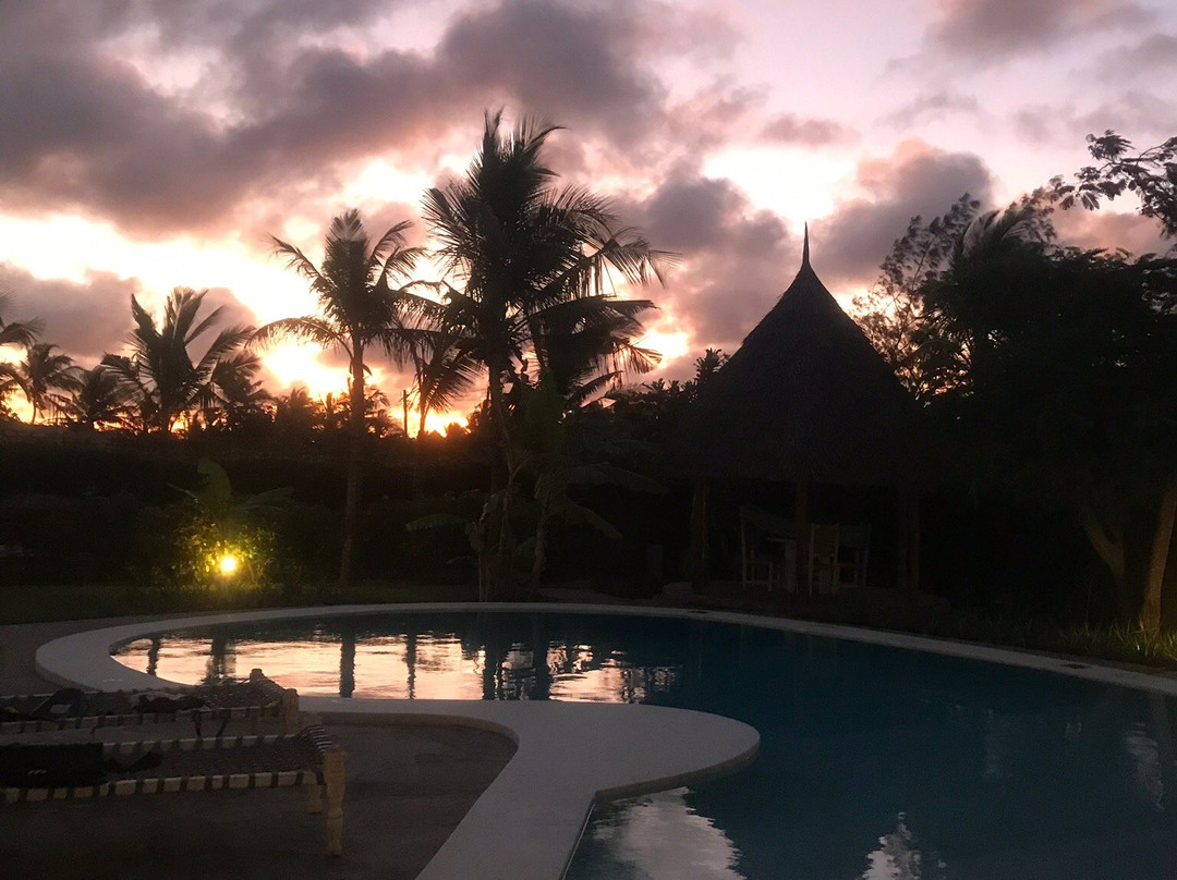 Pearl of Afrika主图