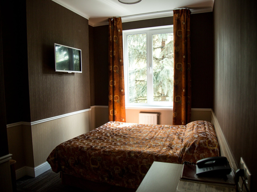 Novye Gorki Hotel主图