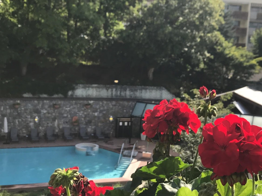 德索尔斯阿尔卑斯酒店主图