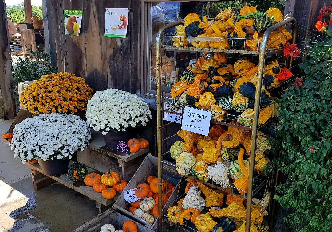 Twin Pines Orchards & Cider House景点图片