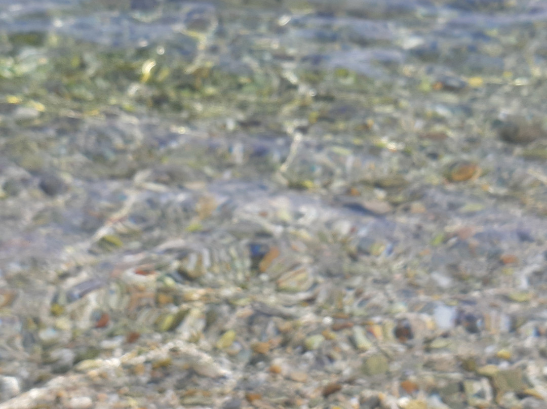 Tresor Sousouras主图