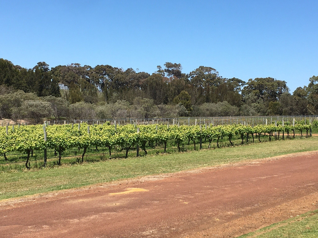 Margaret River Winemakers景点图片