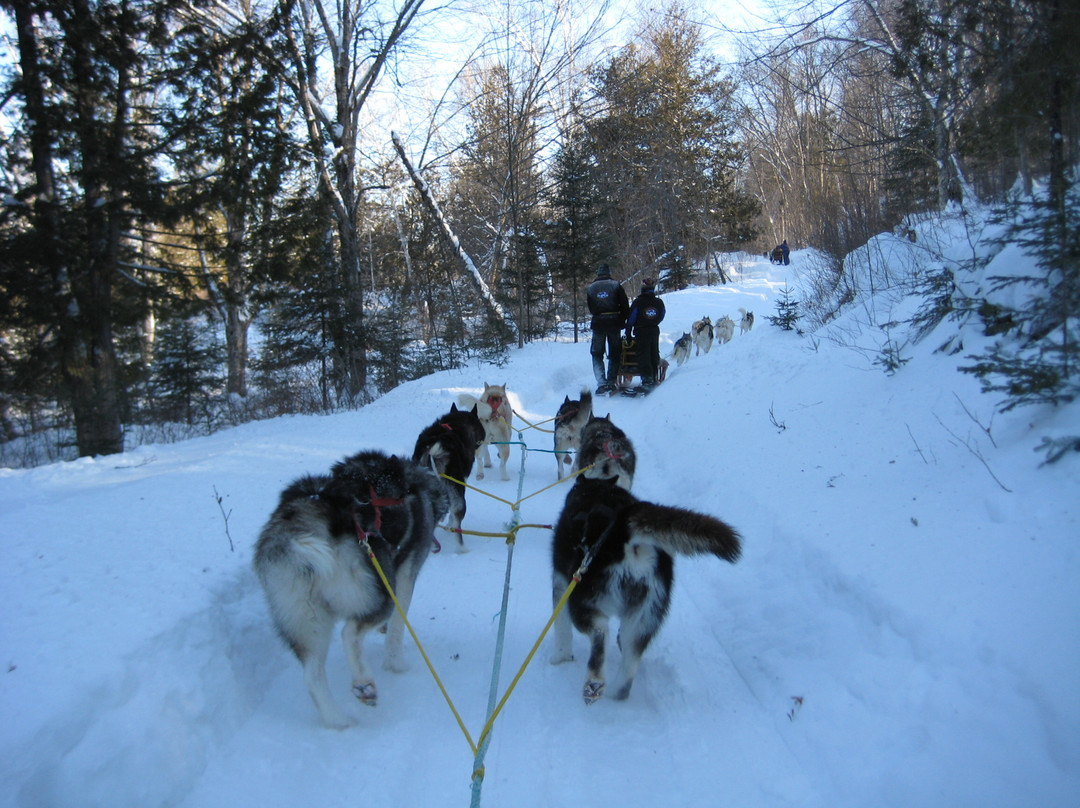 Expedition Wolf-Riviere-Rouge必去景点