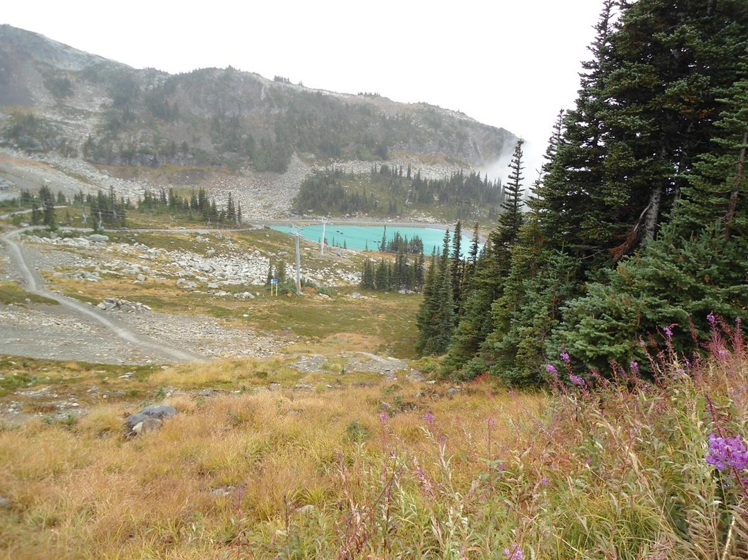 Whistler Activity and Information Center景点图片