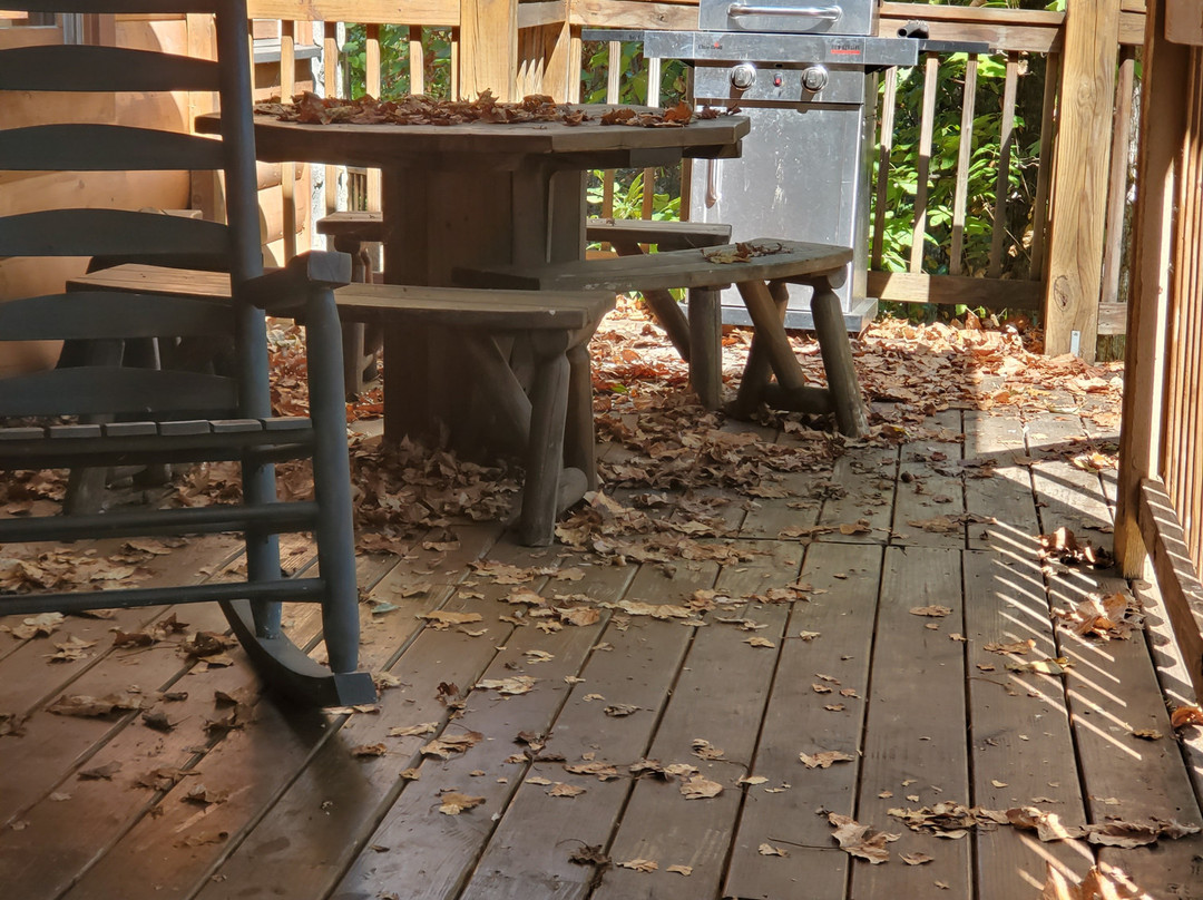 Hemlock Hills Resort主图