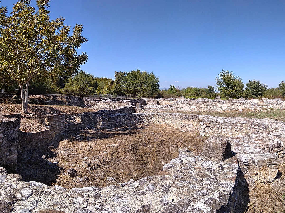Dion Archaeological Park景点图片