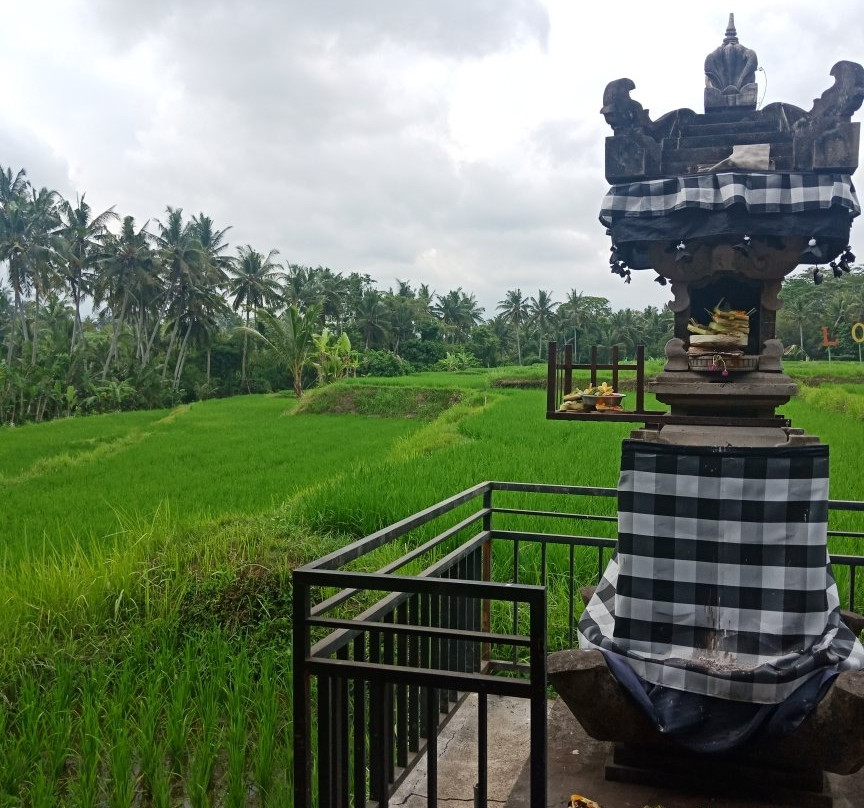 Kemenuh Butterfly Park-Kemenuh必去景点