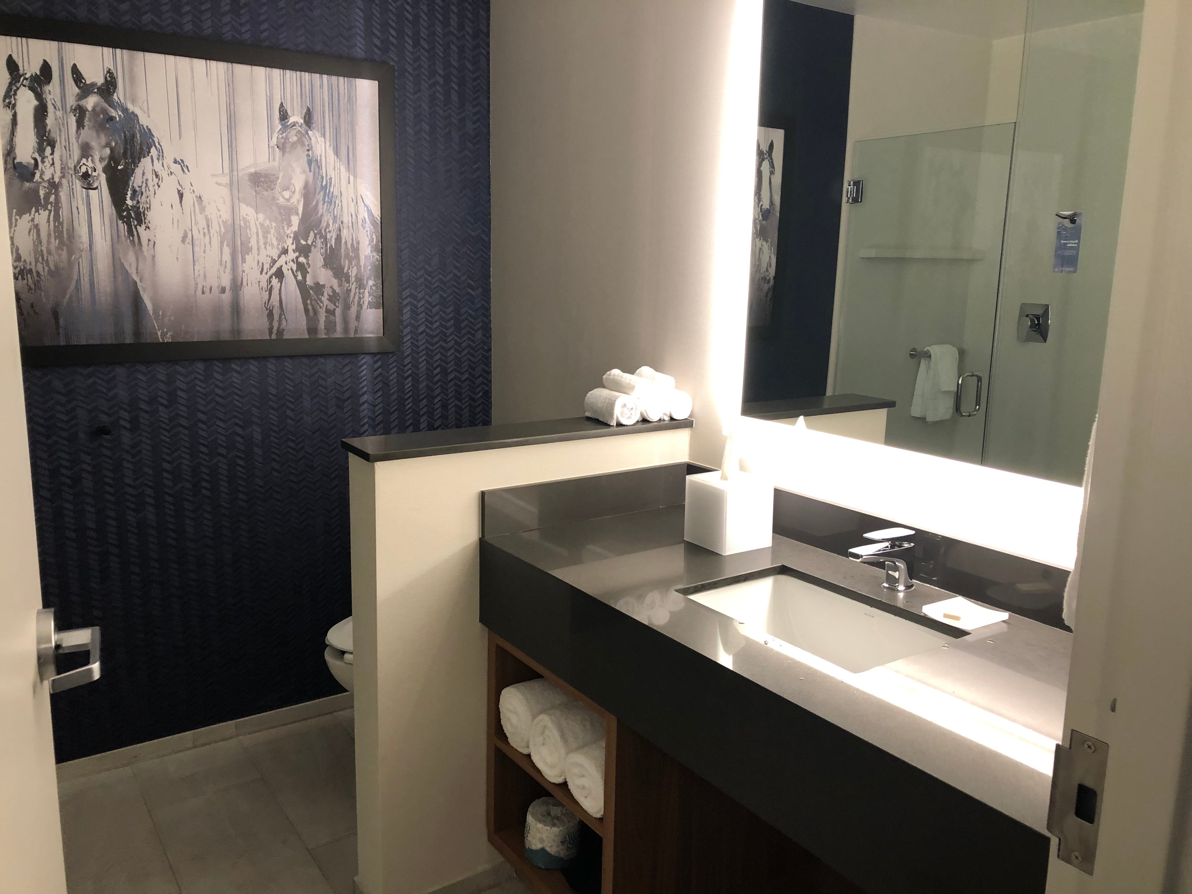 Fairfield Inn & Suites by Marriott Wellington-West Palm Beach-浴室
