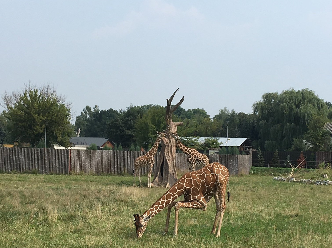 Zoo Zamość-扎莫希奇必去景点