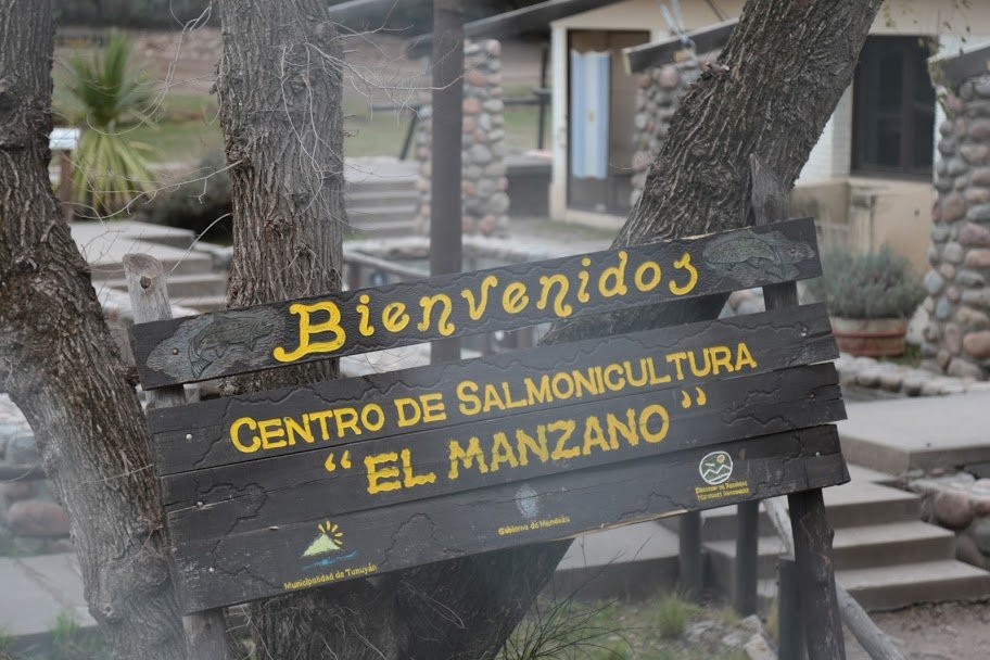 Museo Municipal de Ciencias Naturales "Ñandú"景点图片