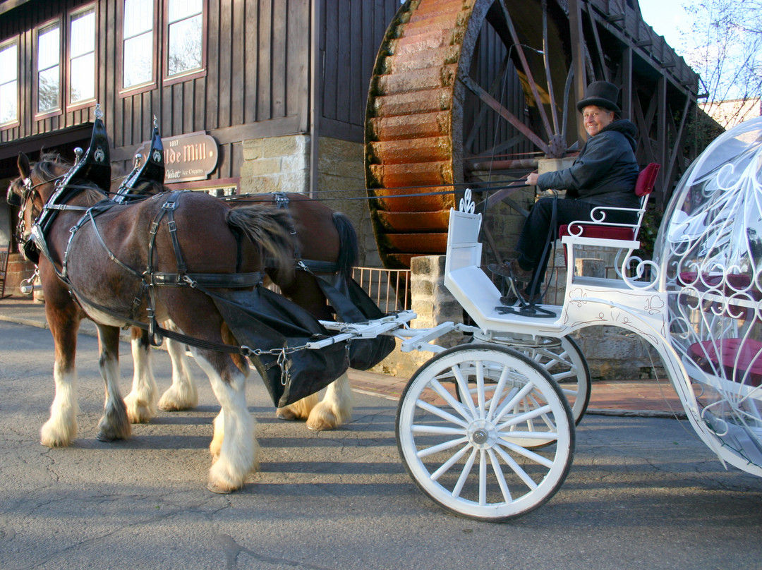 Saint Louisville旅游攻略图片