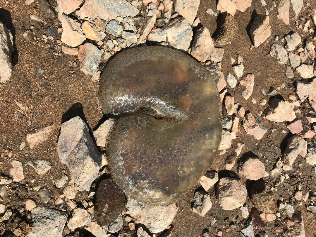 Lake Kaweah-Lemon Cove必去景点