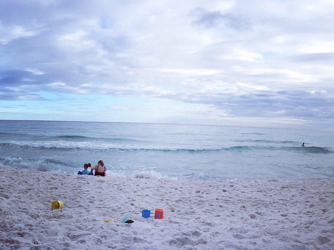 Pensacola Beach East Dog Park景点图片